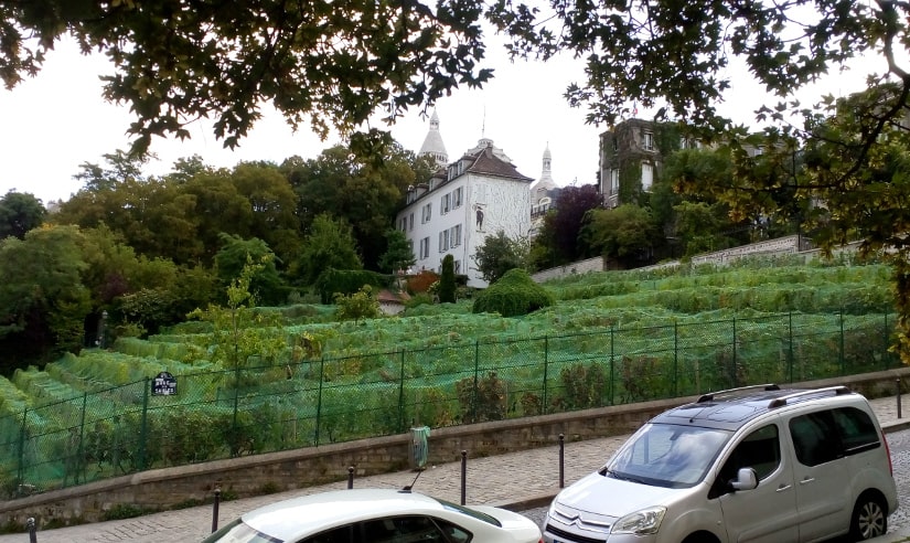 The Clos de Montmartre (Montmartre Vineyard) and the steep incline of the Rue des Saules from Place Robert Dorgeles Montmartre. Rue des Saules is difficult for wheelchairs because of the incline and the cobbles.
